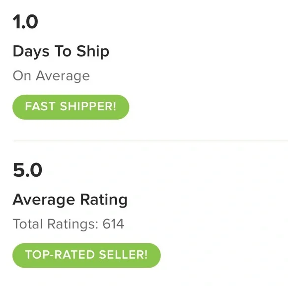 Talbots Women’s Green Cotton Spandex Girlfriend Chinos Size 14 - Picture 8 of 9